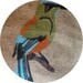 Empty Coffee Sack - Burlap Heavy Weave Mexico El Motmot